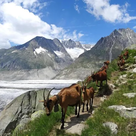 In Binntal Near Lengtal Deck *