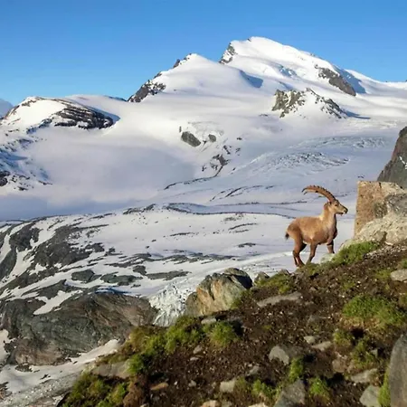 Mountain View In Binntal Near Lengtal Deck Ferienhaus *